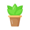 Outdoor decorative plant, an icon of plant pot in trendy style, ready to use vector