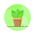 Outdoor decorative plant, an icon of plant pot in trendy style, ready to use vector