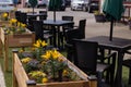 Outdoor Dining at a Restaurant in Leavenworth, WA with Flower Boxes Royalty Free Stock Photo