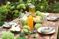 Summer table set. Dining table decorated fresh flowers and fruits outdoor. Royalty Free Stock Photo