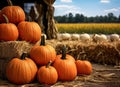 An outdoor display of a crop of large pumpkins on top of hay bales ready for the fall season and its holidays.