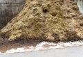 outdoor dung heap with horse manure Royalty Free Stock Photo