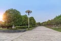 Outdoor empty marble road with trees in the park Royalty Free Stock Photo