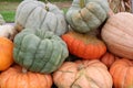 Outdoor farmers market showcasing large arrangement of pumpkins and gourds