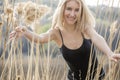 Outdoor fashion photo of young beautiful lady in autumn landscape with dry flowers Royalty Free Stock Photo