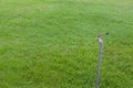 Outdoor Faucet on grass field Royalty Free Stock Photo