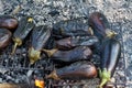 Outdoor fire roasted eggplant