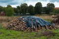 Gathering and Stacking Logs and Branches for Household Heating