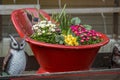 Outdoor flower pots for small garden, patio or terrace, close up. Royalty Free Stock Photo