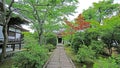 Outdoor footpath, green plants and pavilion in Japanese zen garden