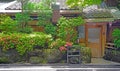 Outdoor footpath, green plants, traditional house in Japanese zen garden