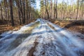 Outdoor forest scene in a melting snow