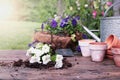 Outdoor Garden Bench with White and Purple Flowers Royalty Free Stock Photo