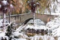 Outdoor garden and bridge with a dusting of snow. Winter Background. Snow