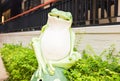 Outdoor Garden Decoration Statue, Frog