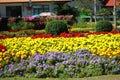 Outdoor garden flowers with many varieties of flower are blooming so beautiful