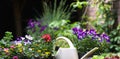 Outdoor gardening planting flowers in the spring garden. With pots and gardening tools at wooden table with soil background. Urban