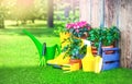 Outdoor gardening tools and flowers on the green grass of a garden background