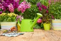 Outdoor gardening tools on old wood table Royalty Free Stock Photo