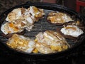 Outdoor Grilled Egg Beefburgers Royalty Free Stock Photo