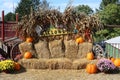 Outdoor Halloween display Royalty Free Stock Photo