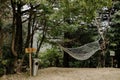 Outdoor hammock suspended between two trees in a lush, natural environment