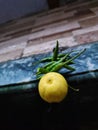 The outdoor hanging lemon chilli tradition