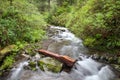 Outdoor Hiking Trail, Oregon