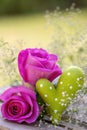 Outdoor holiday decoration with pink roses and green heart Royalty Free Stock Photo