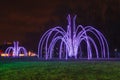 Outdoor Holiday Light Display