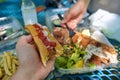 Outdoor Hot Dog and Fish Summer Meals