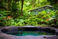 outdoor hot spring in a serene garden setting