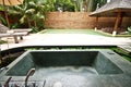 Outdoor jacuzzi bathtub in garden 4 Royalty Free Stock Photo