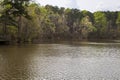 The outdoor lake at Historic Yates Mill County Park