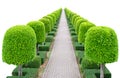 Outdoor landscape garden Royalty Free Stock Photo