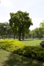 Spring park in Ersha Island Guangzhou China Asia
