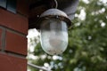 Outdoor lantern against green tree