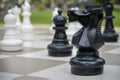 Outdoor large chess on site. chess piece knight