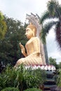 Outdoor large golden sitting Buddha in Buddhist temple.