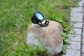 Outdoor lighting. Garden outdoor lighting installed in the stone Royalty Free Stock Photo