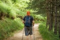 Outdoor. A man with sticks for Nordic walking and a backpack engaged in trekking on the path in a pine forest or Park. Healthy Royalty Free Stock Photo