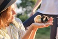 Outdoor mature woman farmer holding in hands two small newborn baby chickens Royalty Free Stock Photo