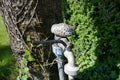 Outdoor metal faucet with kindness rock on top Royalty Free Stock Photo