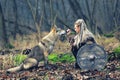 Outdoor northern warrior woman with braided hair and war makeup holding shield and ax with wolf next to her ready to attack - Royalty Free Stock Photo