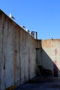 Outdoor of old prison building in Alcatraz, San Francisco CA Royalty Free Stock Photo