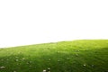 No lawn, blank sky Royalty Free Stock Photo