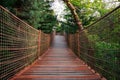 Suspansion bridge or Footbridge Middle of the Trees, View Trough Footbridge