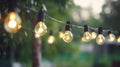 outdoor party string lights hanging in backyard on green bokeh background with copy space Royalty Free Stock Photo