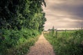 Outdoor path in cloudy weather