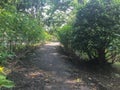 Outdoor path way at the park